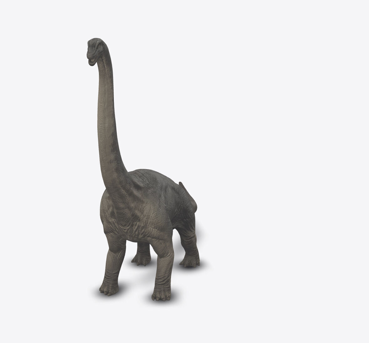 Brachiosaur 3D model_2