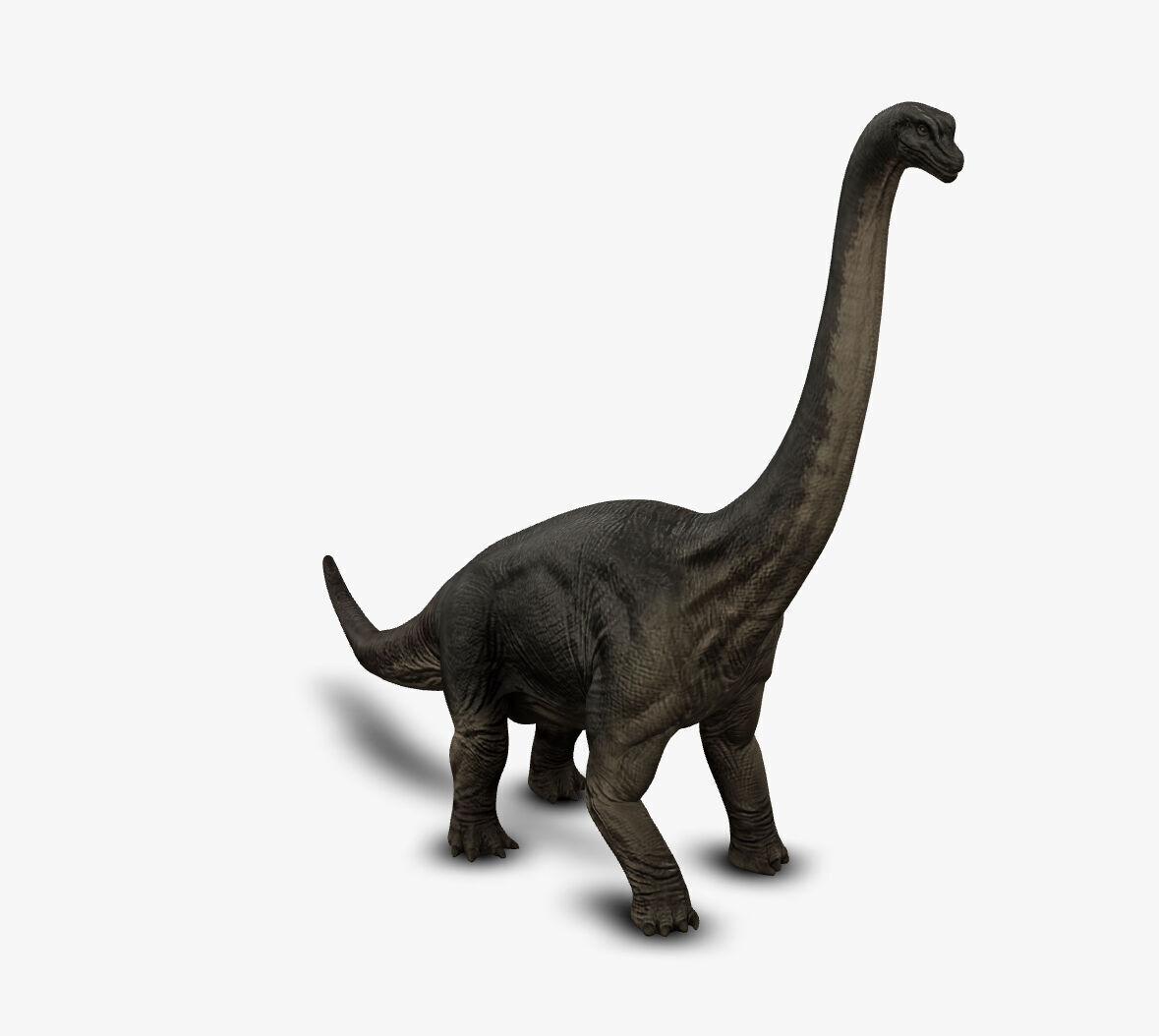 Brachiosaur 3D model_4