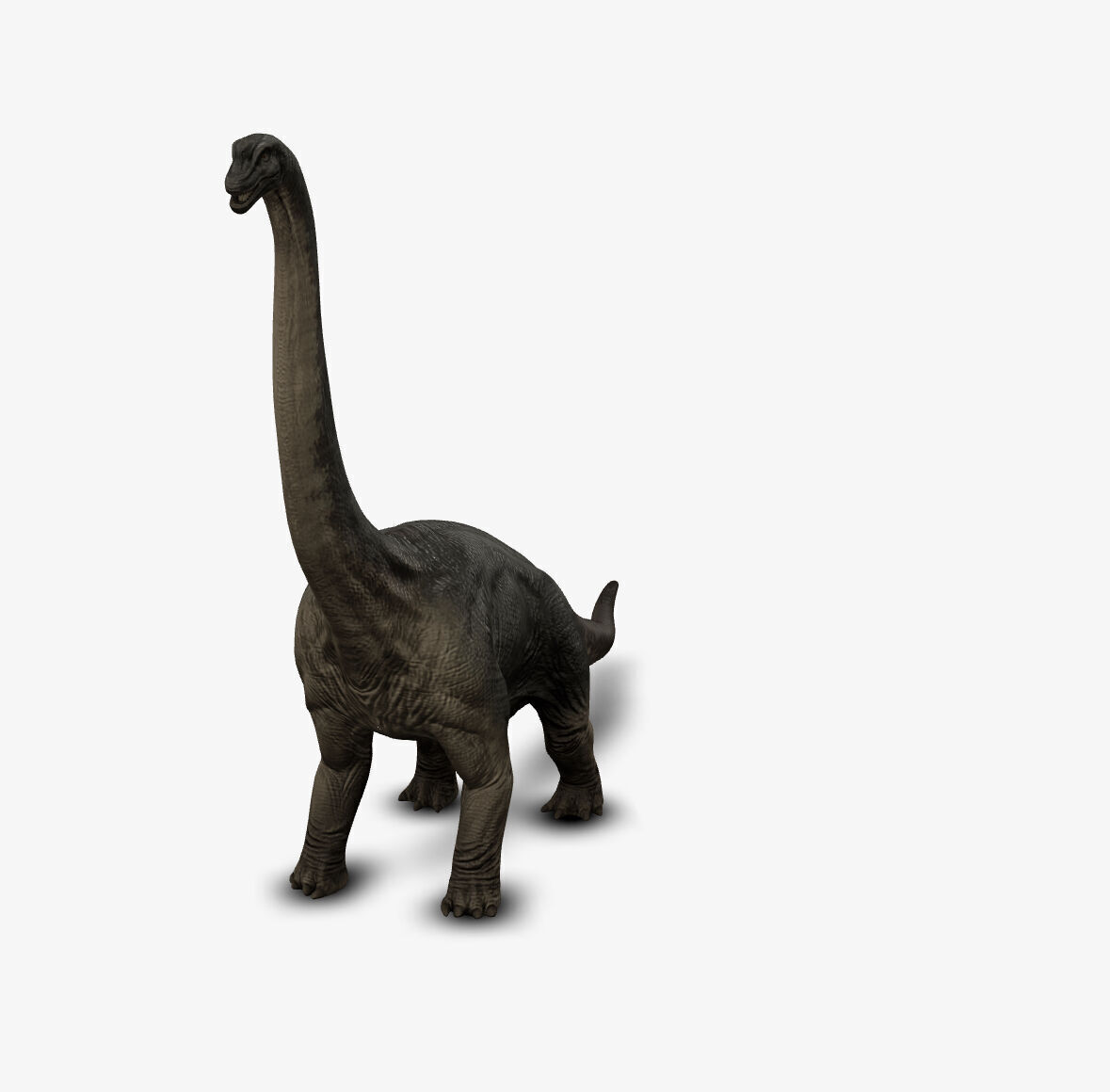 Brachiosaur 3D model_1