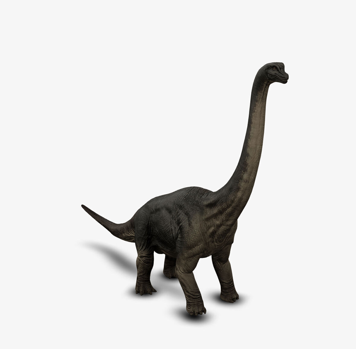 Brachiosaur 3D model_3
