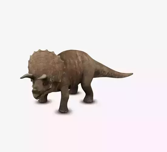 Triceratop 3D model
