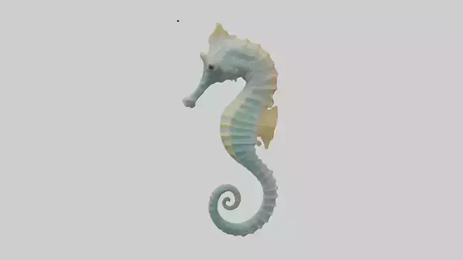 Seahorse Body