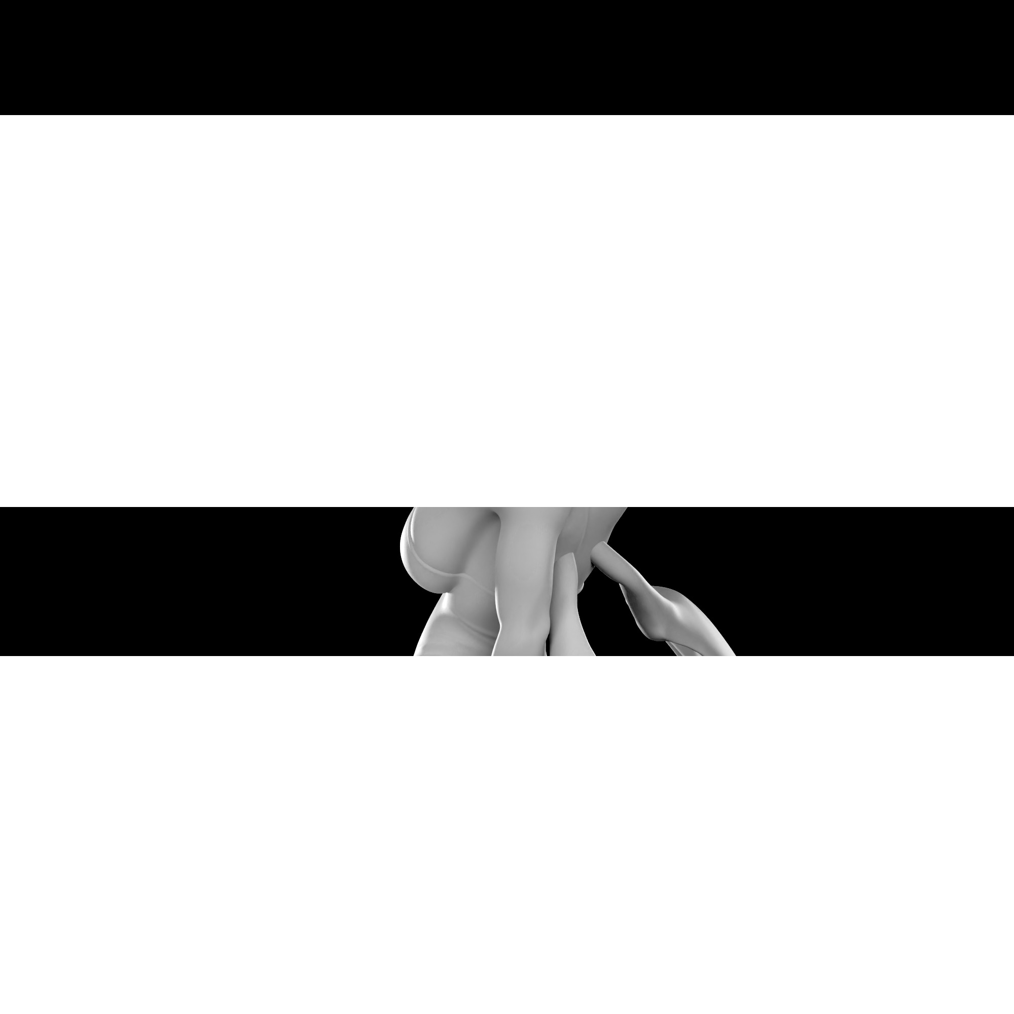 Rouge The Bat - Bunnysuit Collection With NSFW variant 3D print model_29