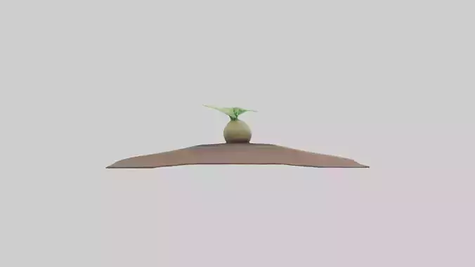 Seed Germination Sculpture model 3D model
