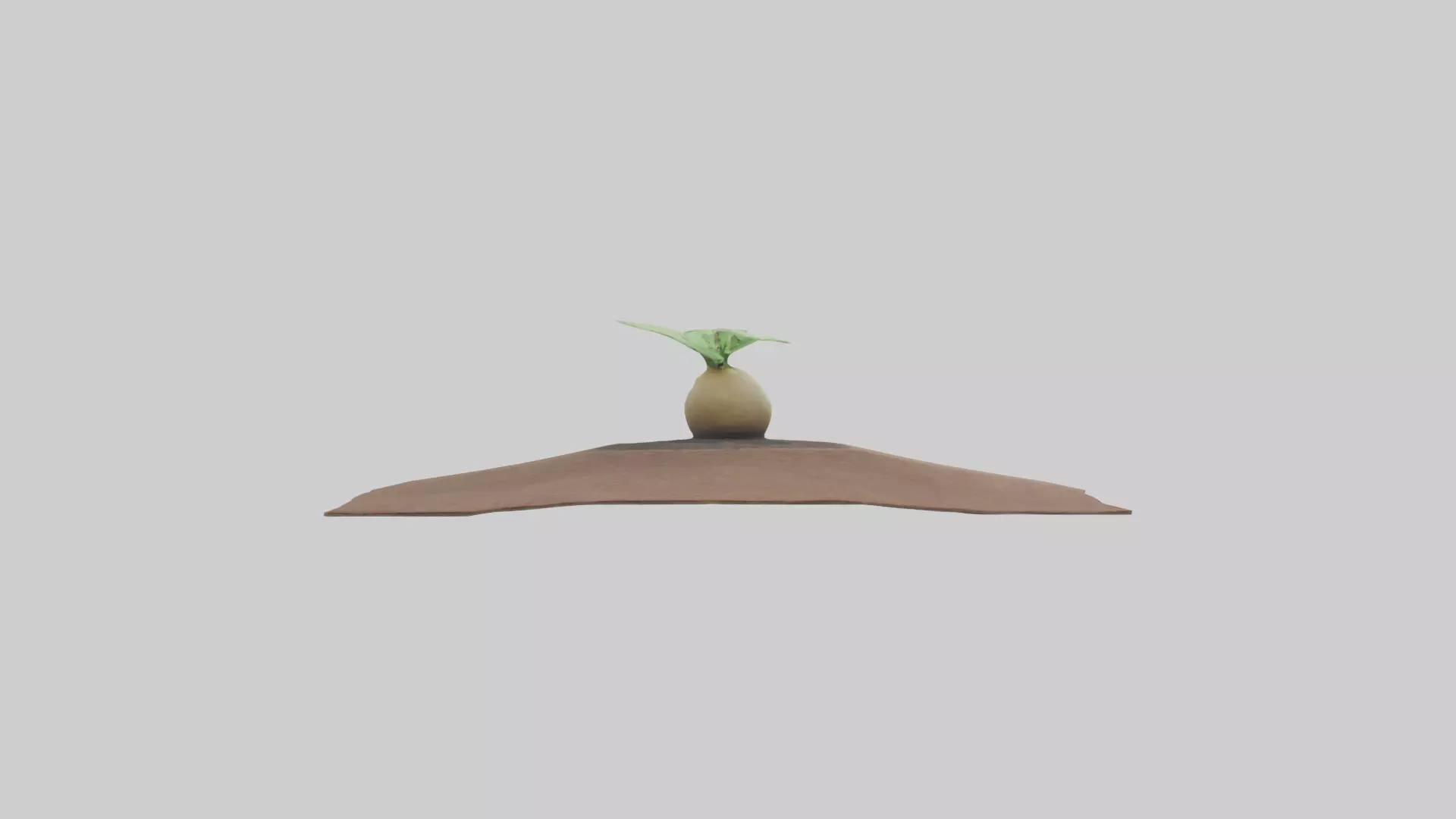 Seed Germination Sculpture model 3D model_0