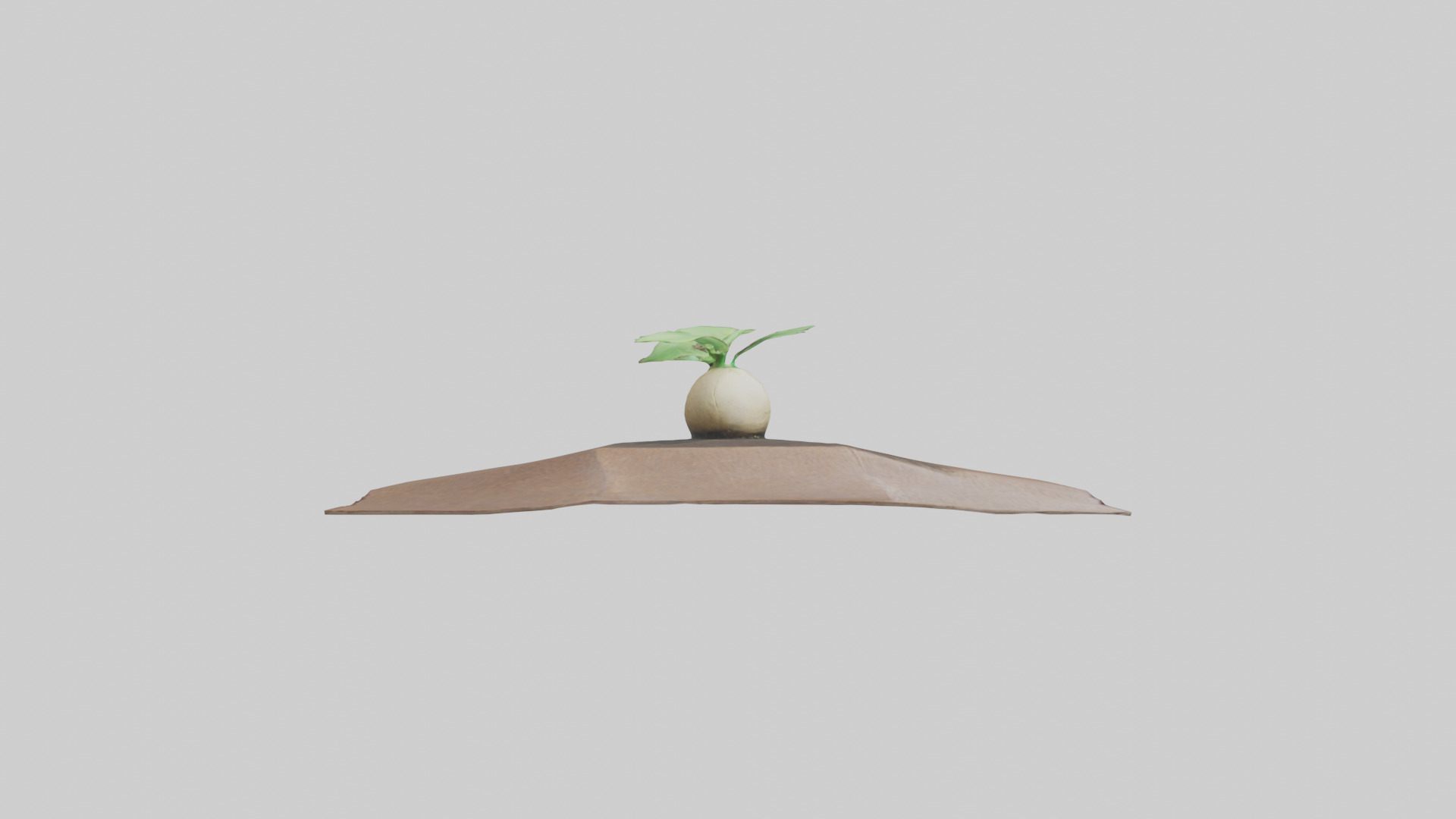 Seed Germination Sculpture model 3D model_13