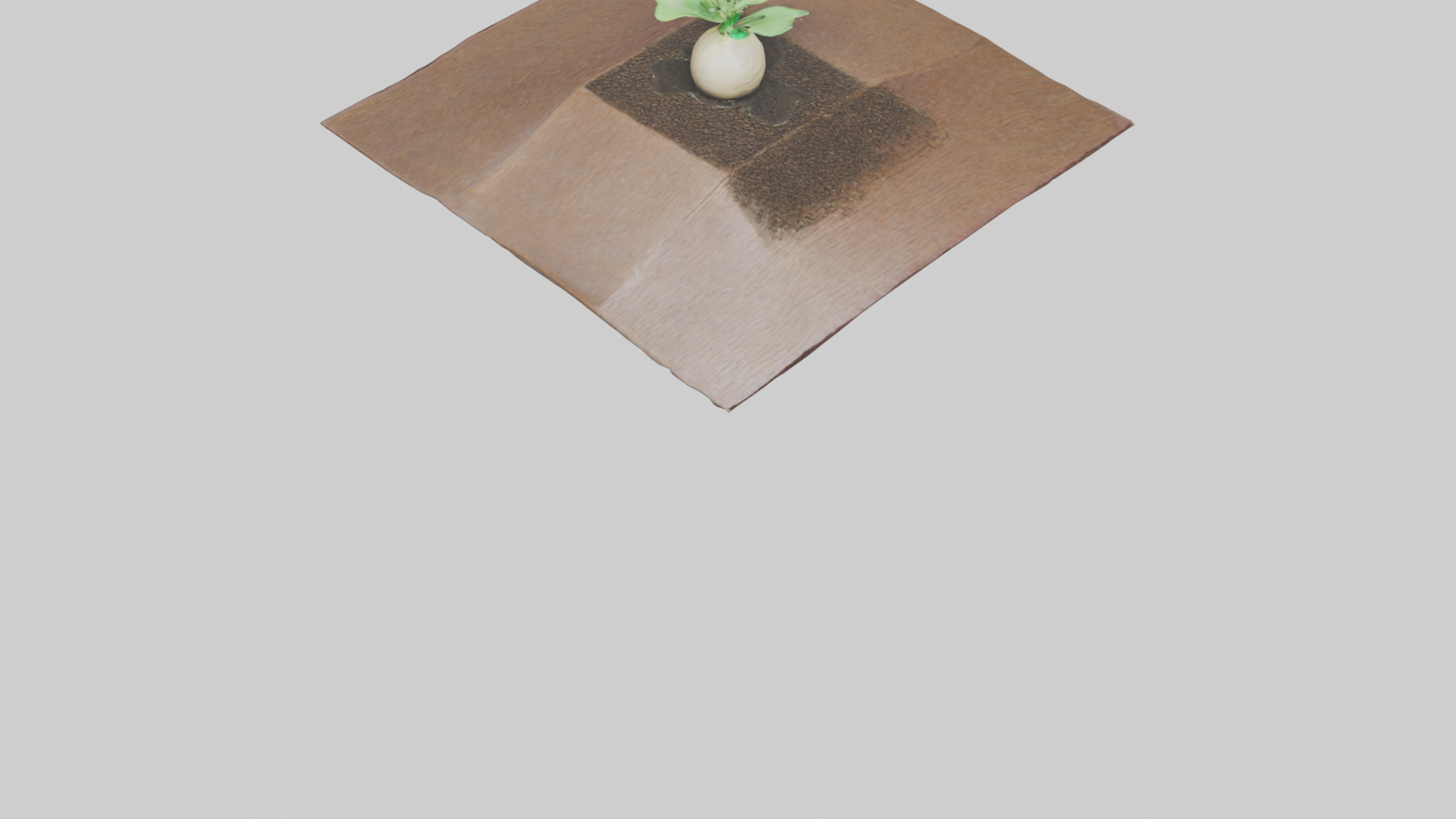 Seed Germination Sculpture model 3D model_6