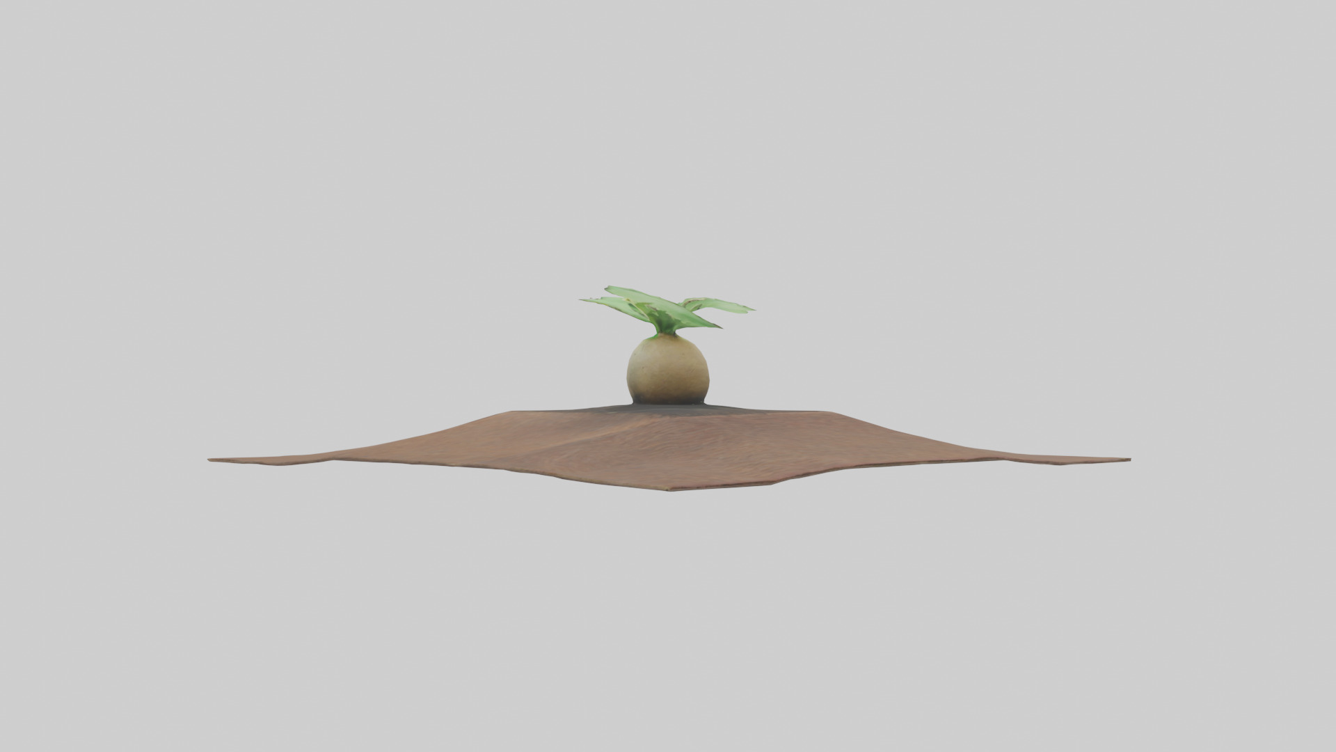 Seed Germination Sculpture model 3D model_1