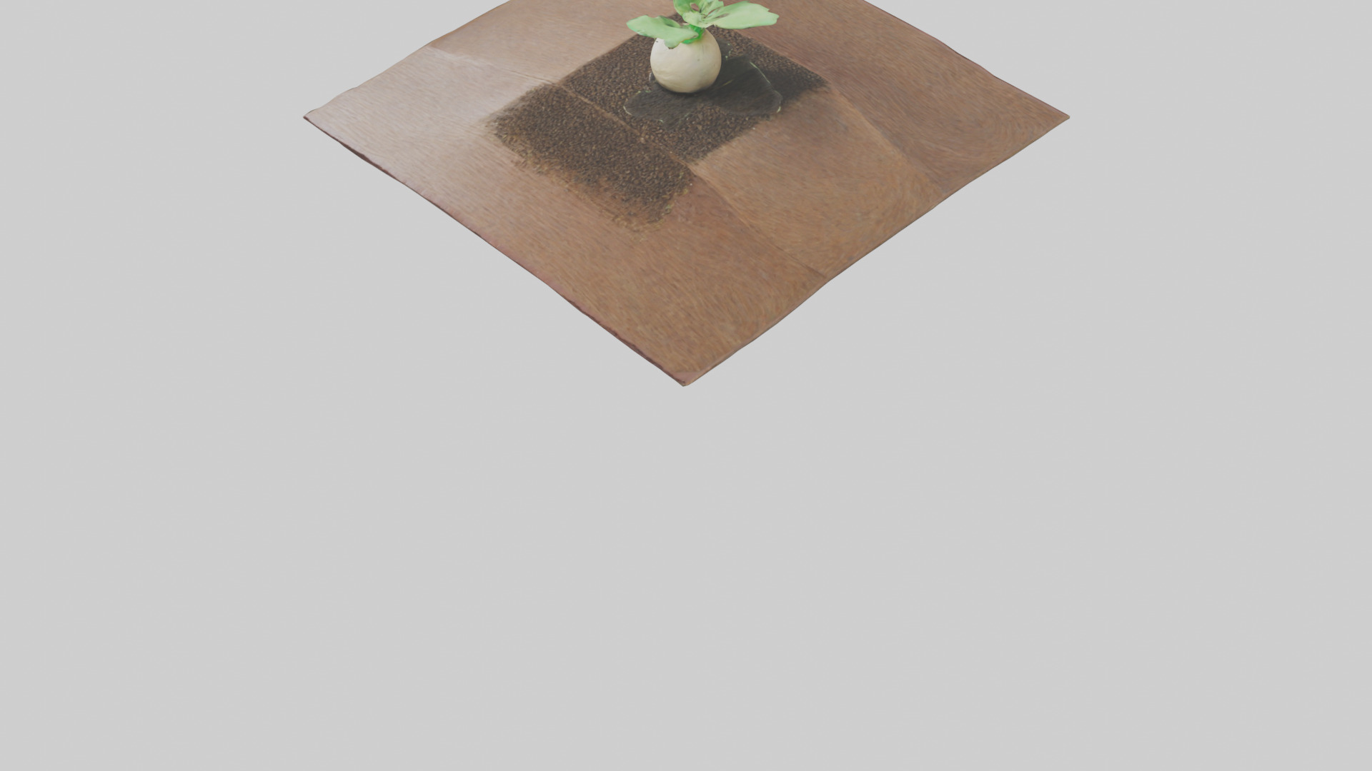 Seed Germination Sculpture model 3D model_5