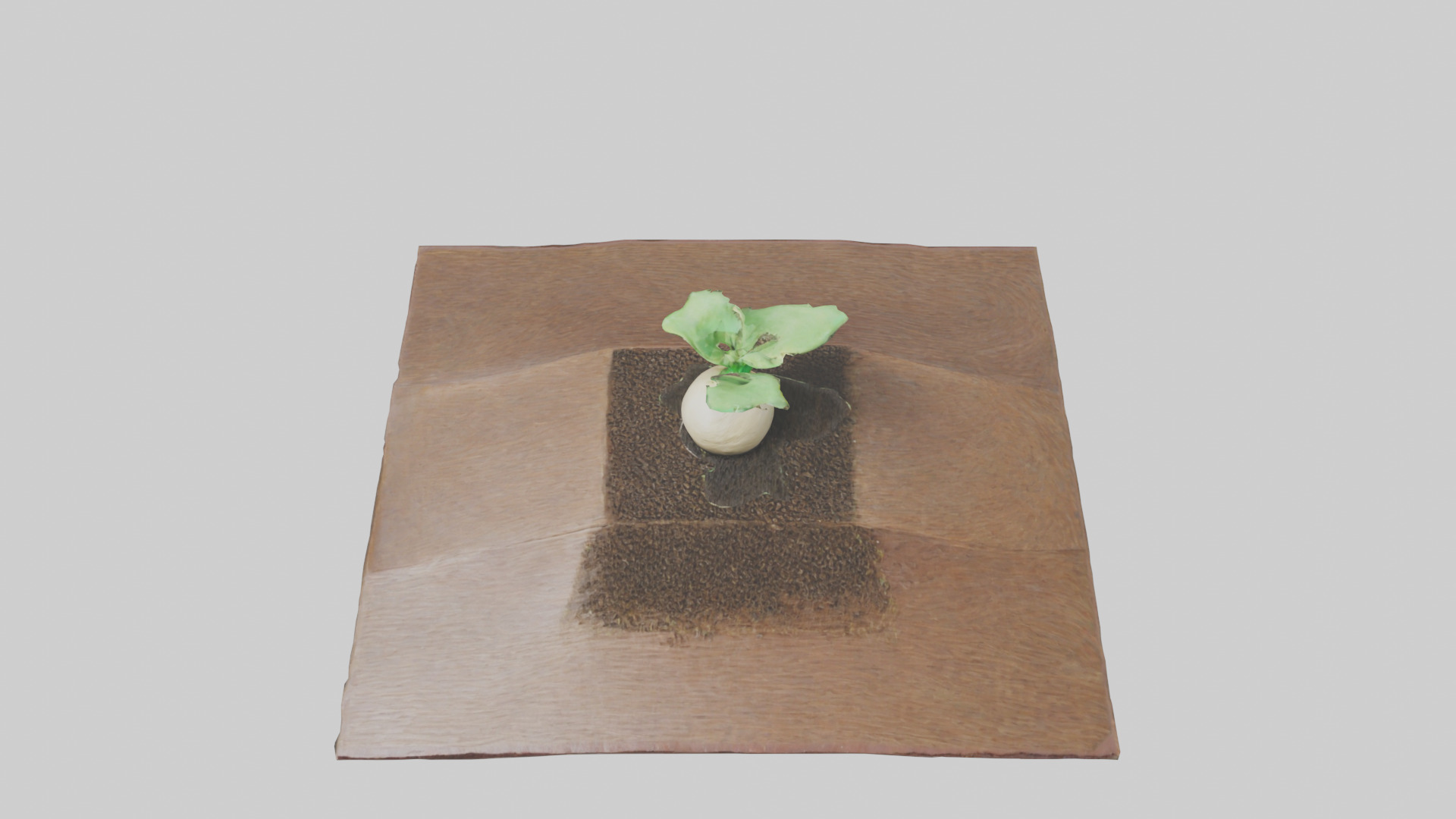 Seed Germination Sculpture model 3D model_16