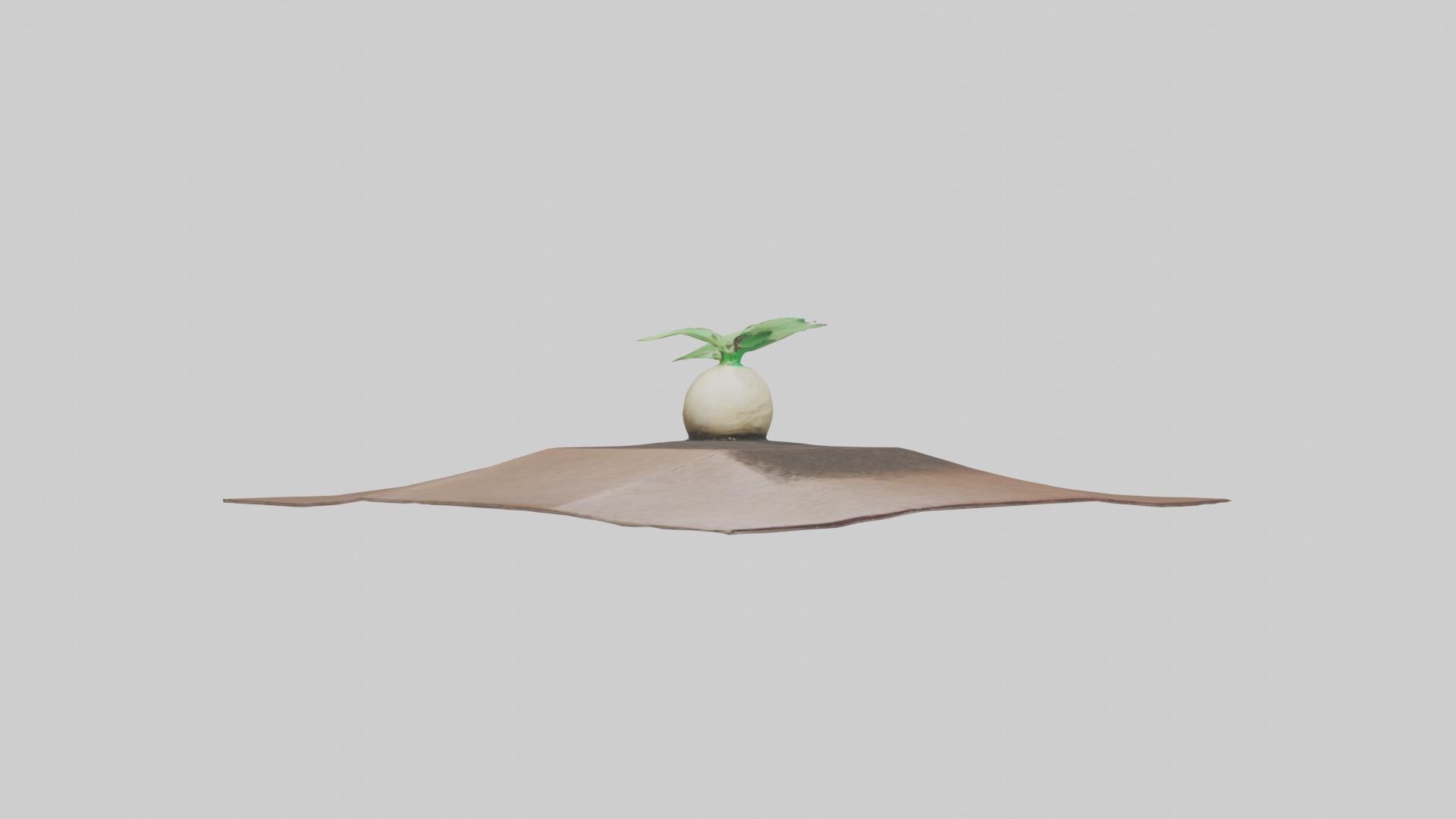 Seed Germination Sculpture model 3D model_11