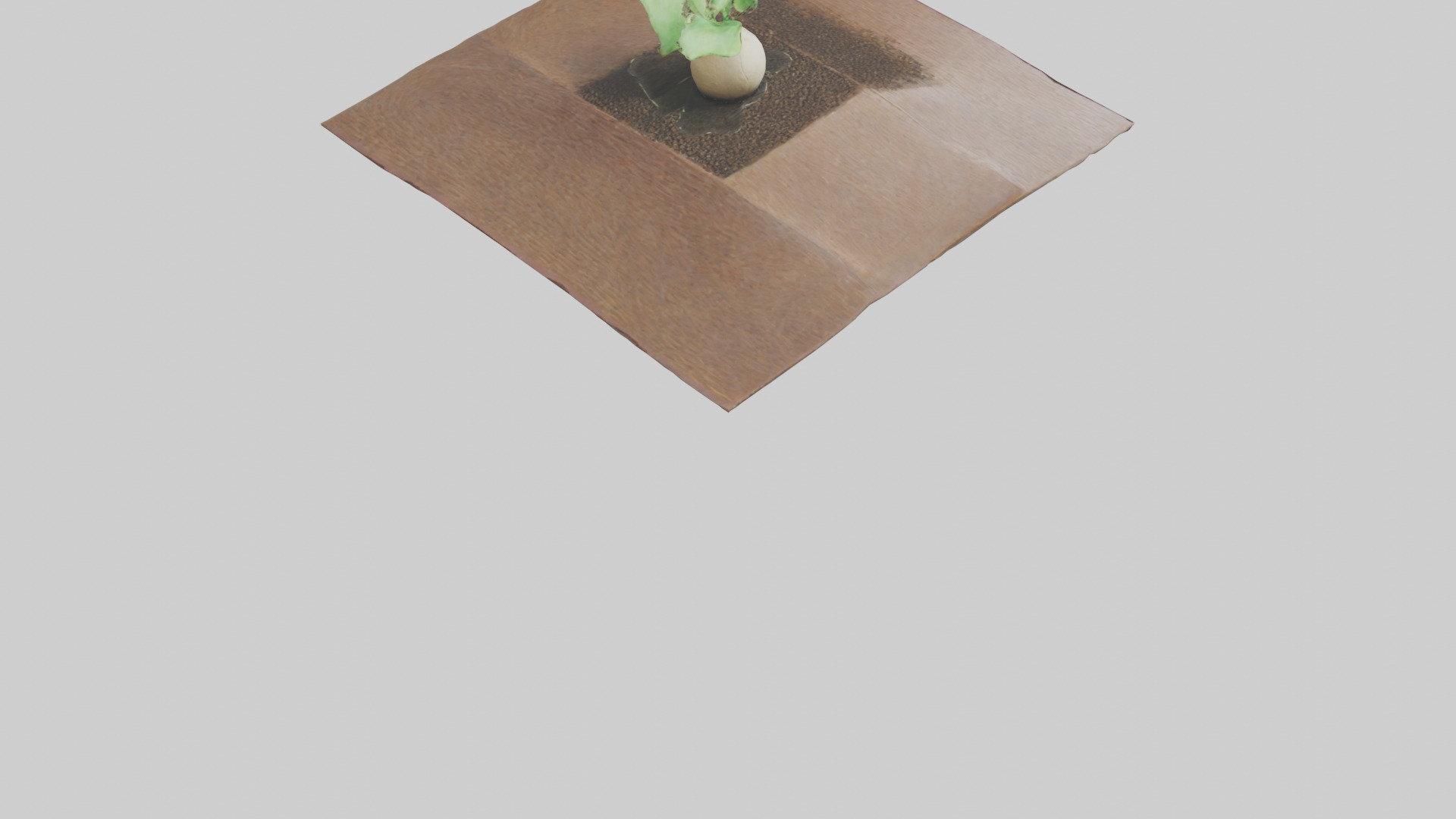 Seed Germination Sculpture model 3D model_4