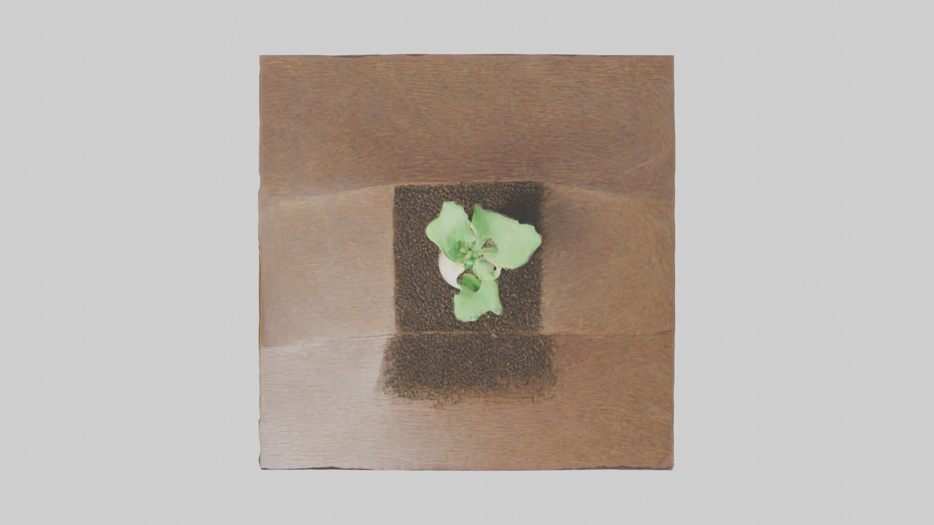 Seed Germination Sculpture model 3D model_14