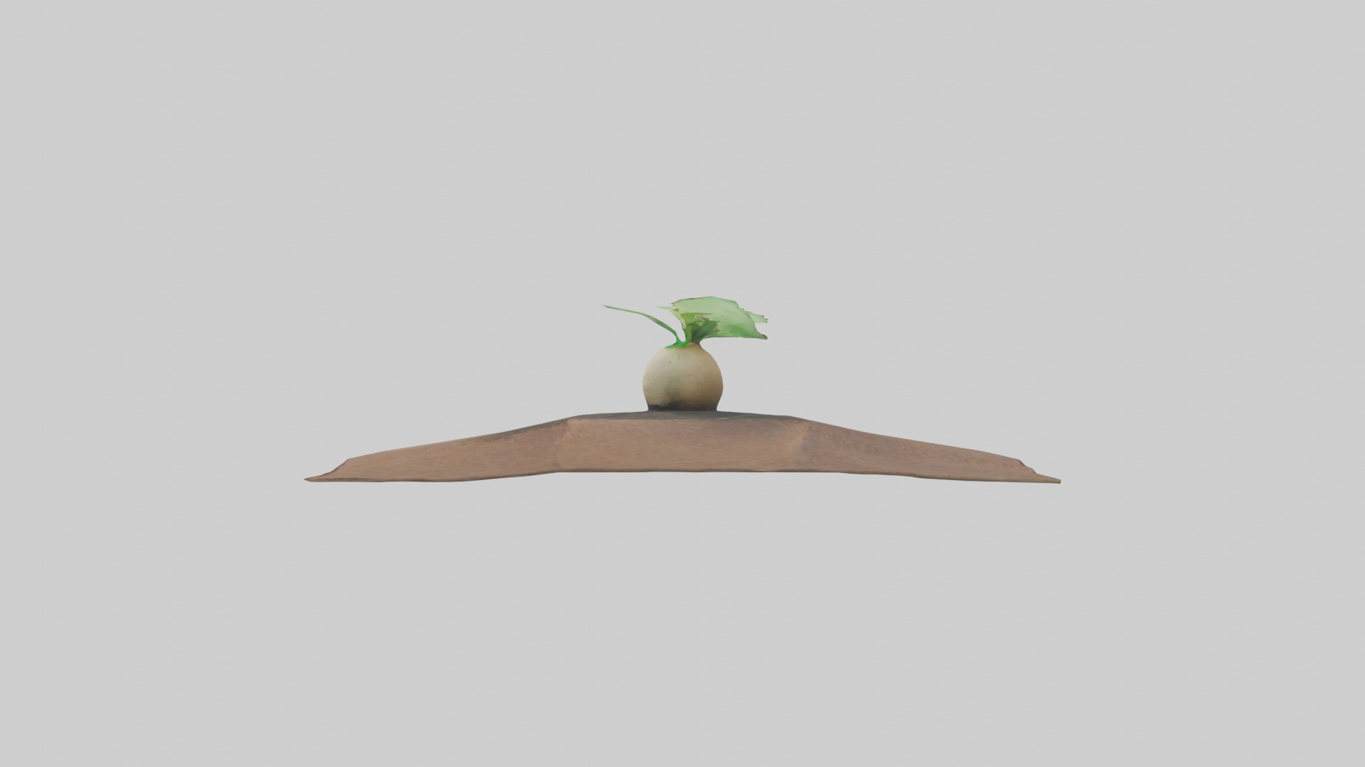 Seed Germination Sculpture model 3D model_12