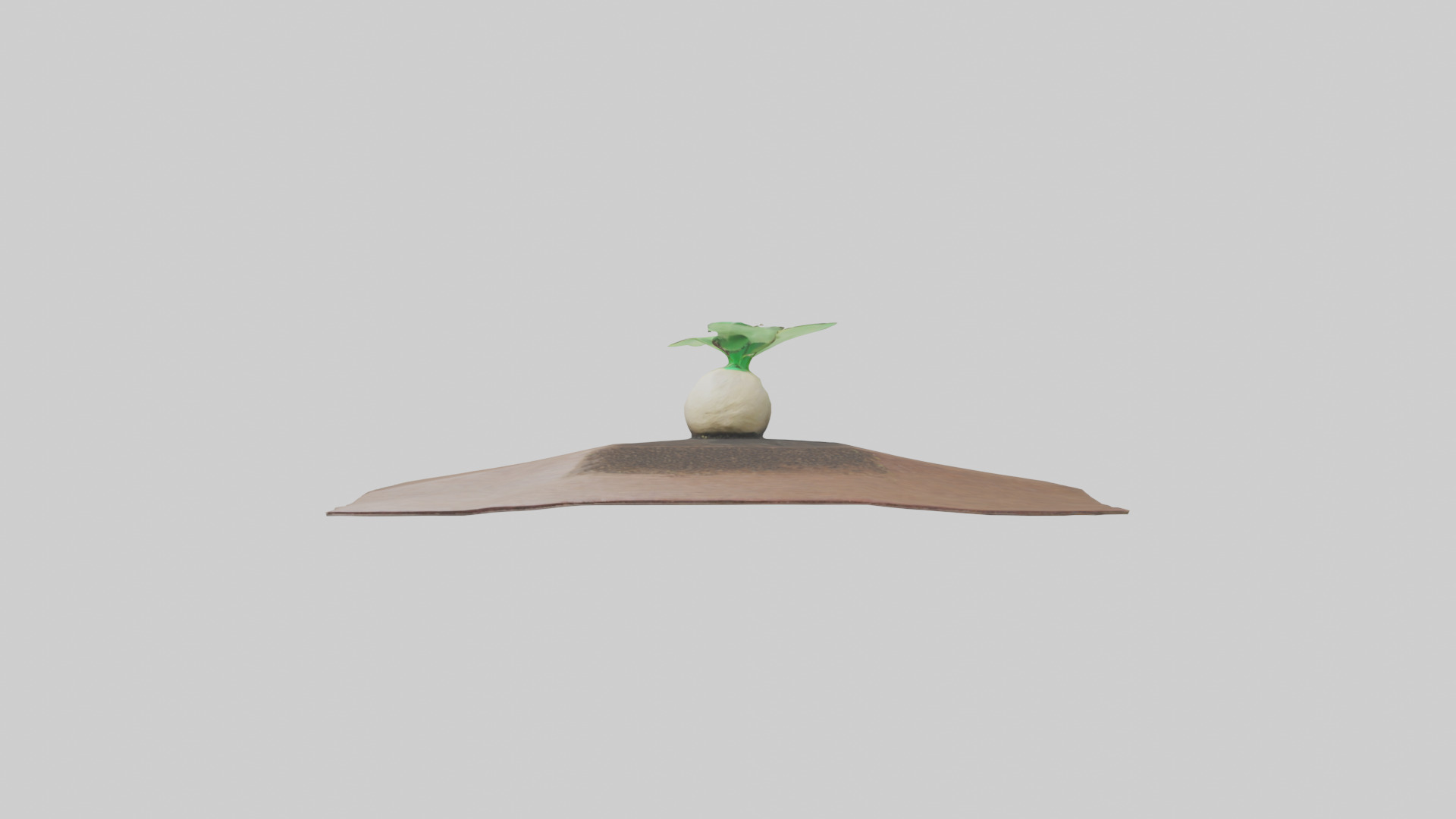 Seed Germination Sculpture model 3D model_9