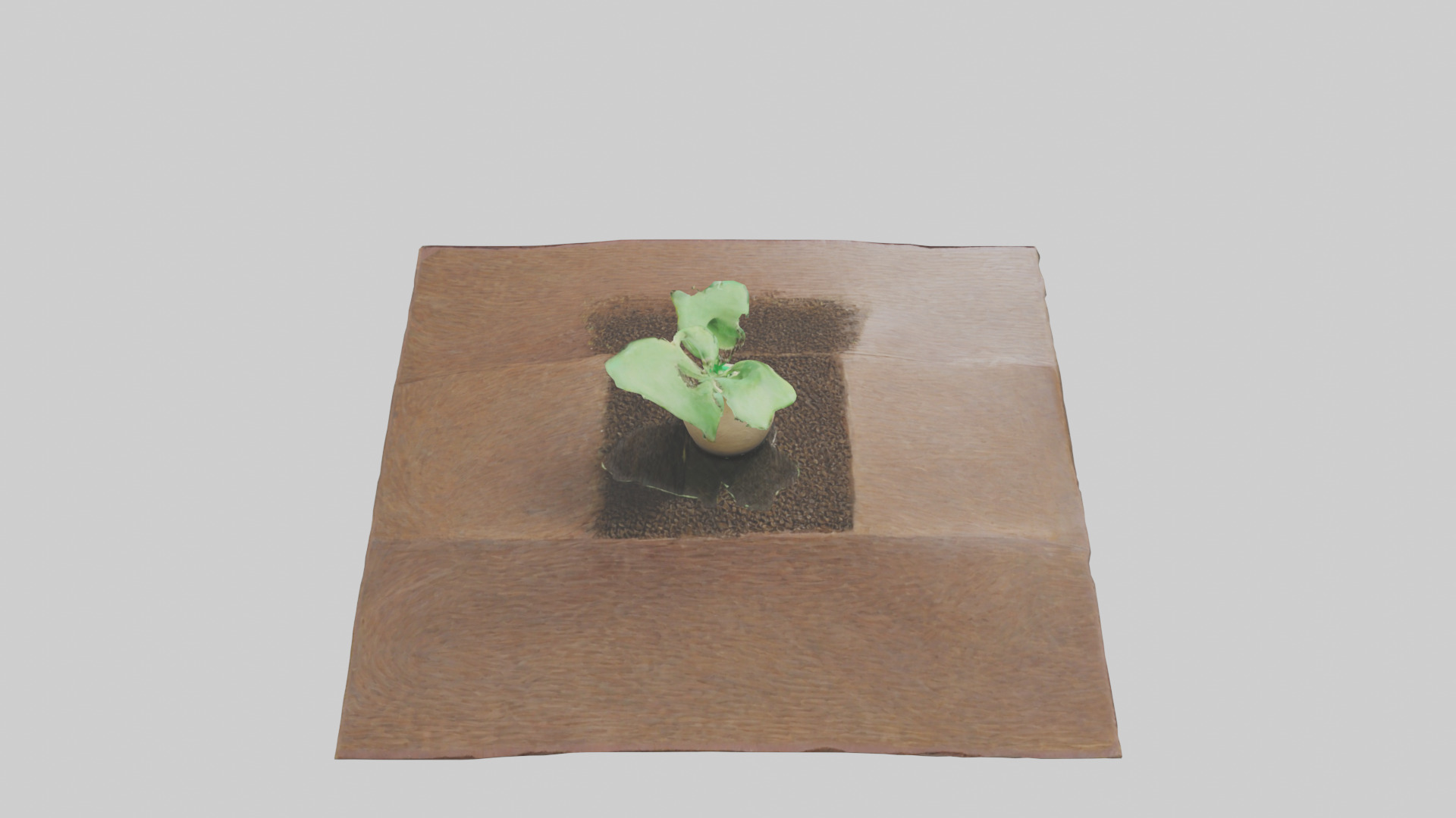 Seed Germination Sculpture model 3D model_15