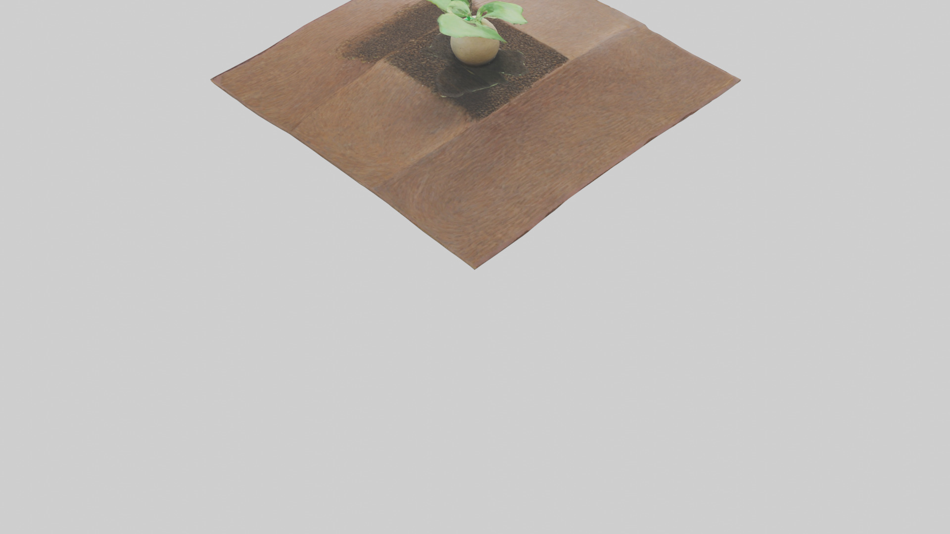 Seed Germination Sculpture model 3D model_3