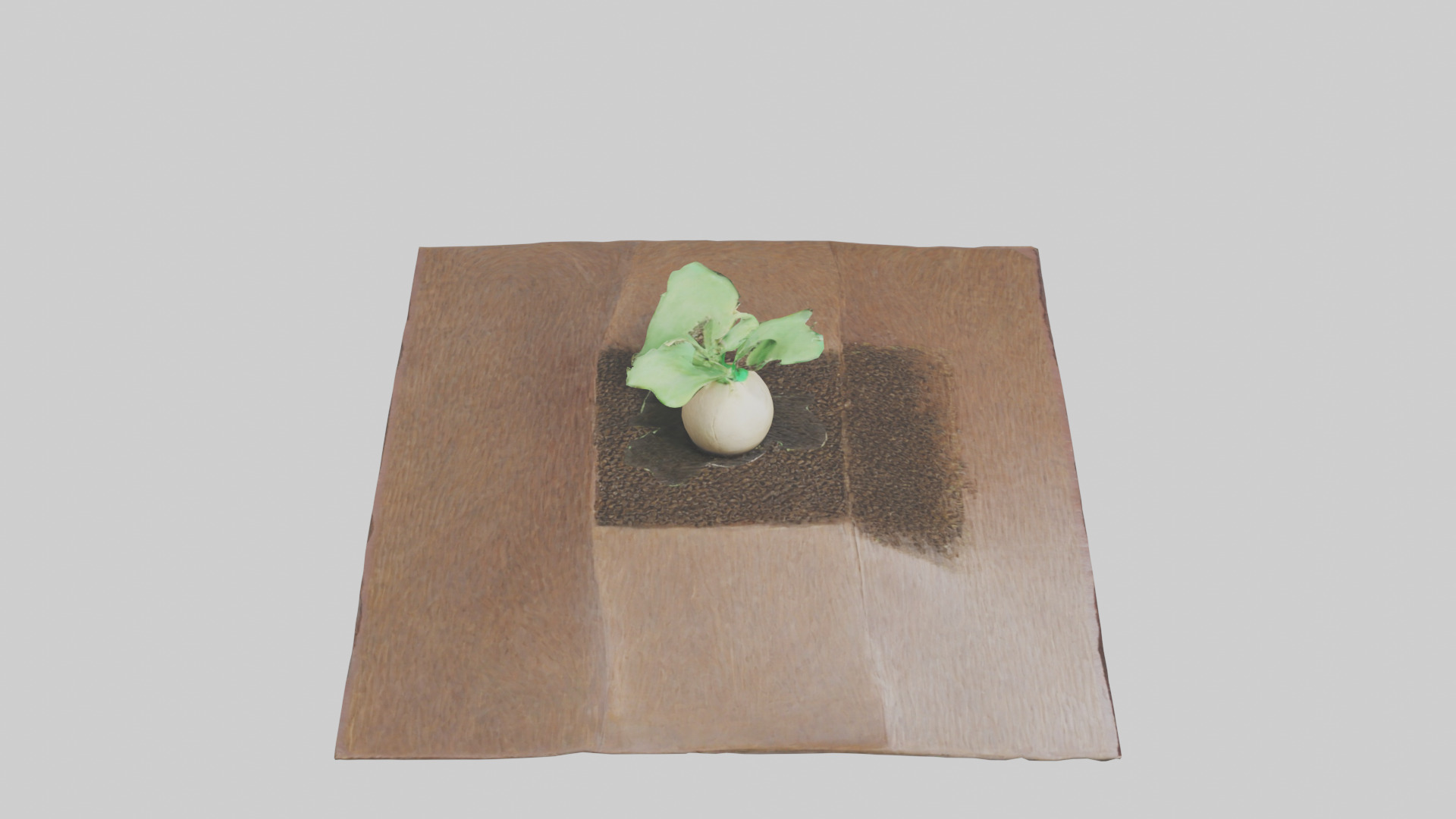Seed Germination Sculpture model 3D model_18