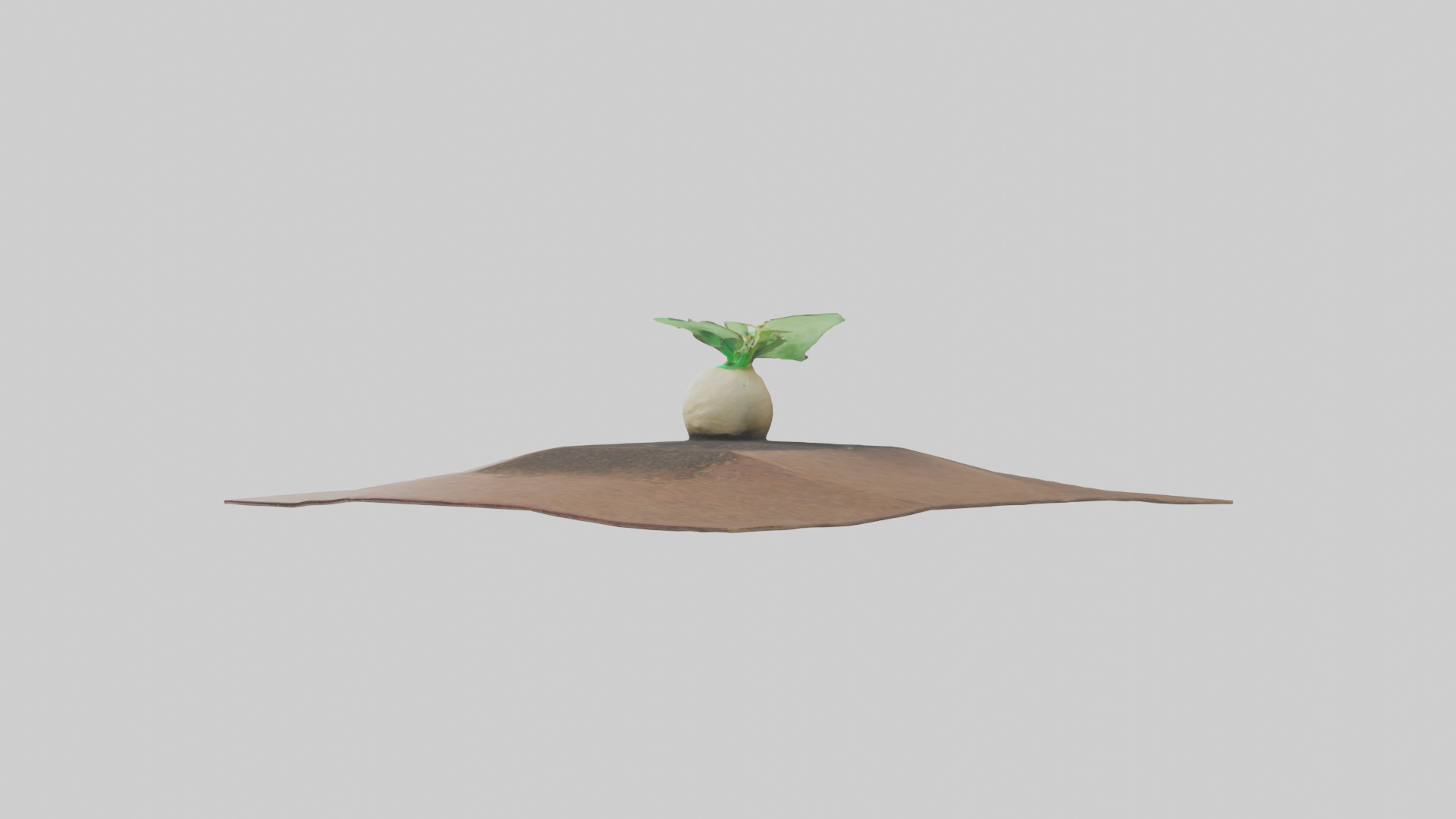 Seed Germination Sculpture model 3D model_8