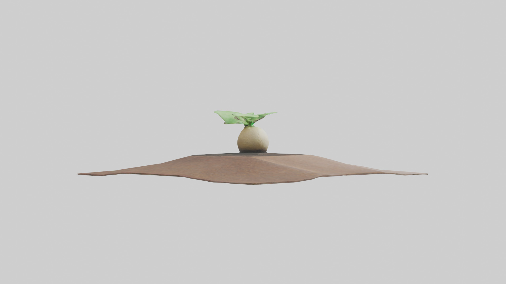 Seed Germination Sculpture model 3D model_2