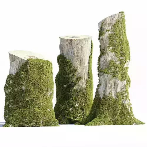 Mossy Tree Stump Collection Vol 289 3D model