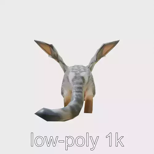 Fantasy Cat Dragon Hybrid Creature model pack