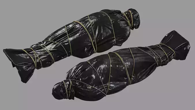 Covered Corpse 09 b 3D model