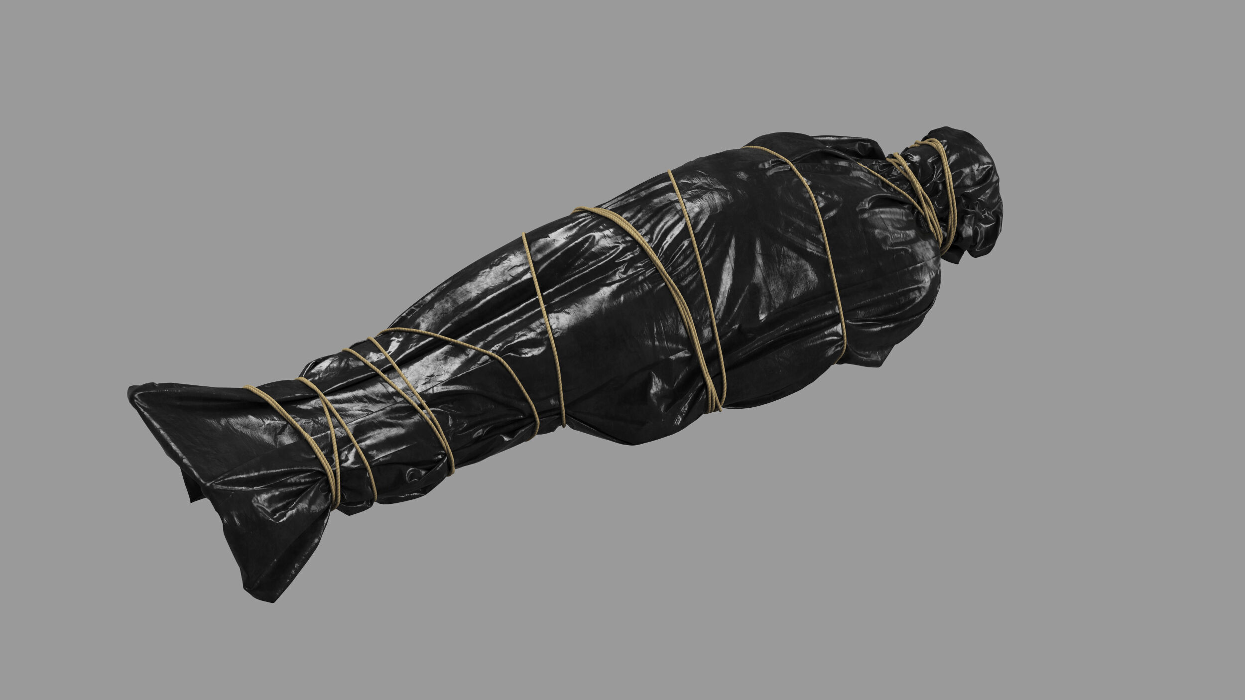 Covered Corpse 09 b 3D model_1