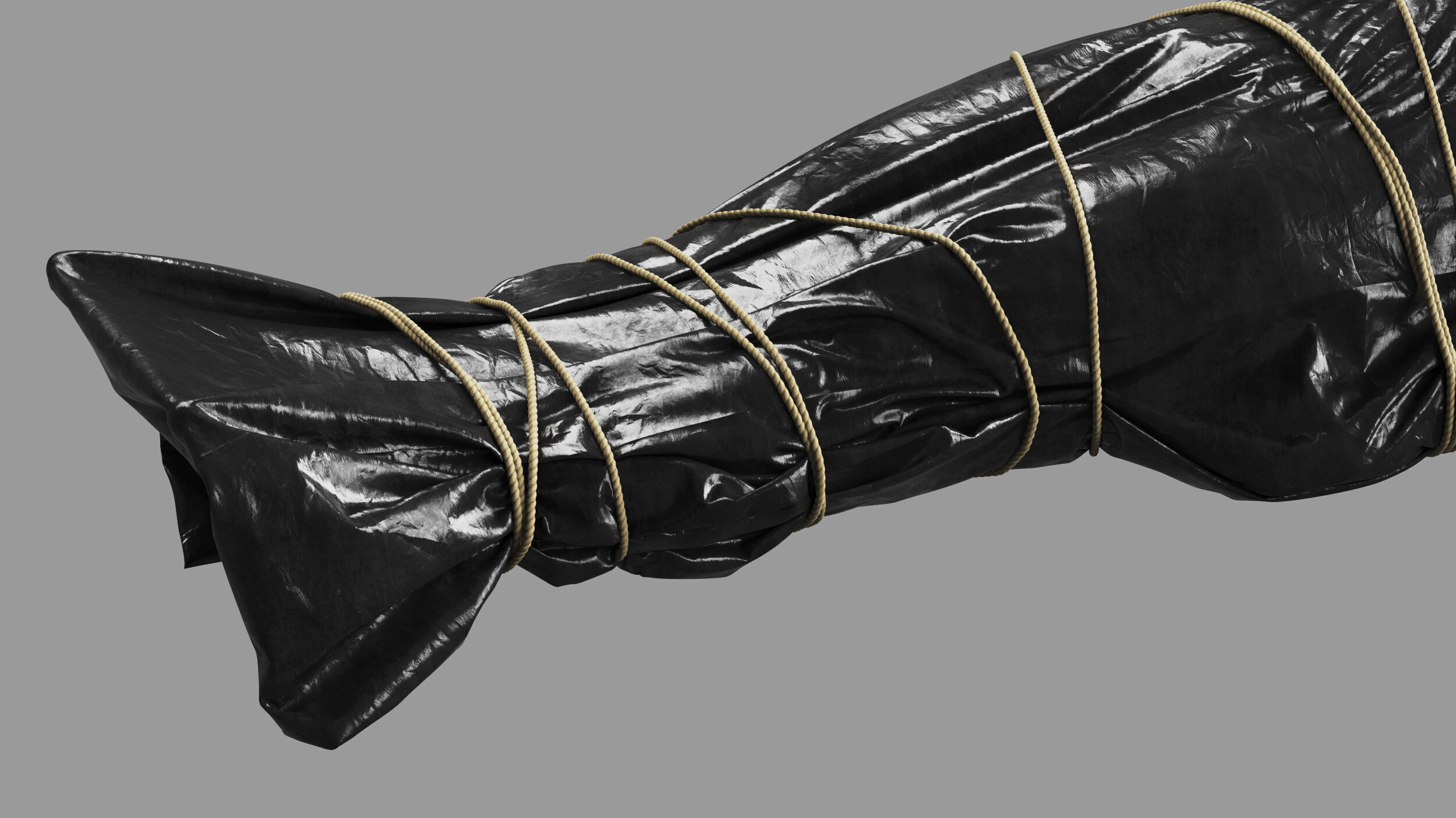 Covered Corpse 09 b 3D model_10