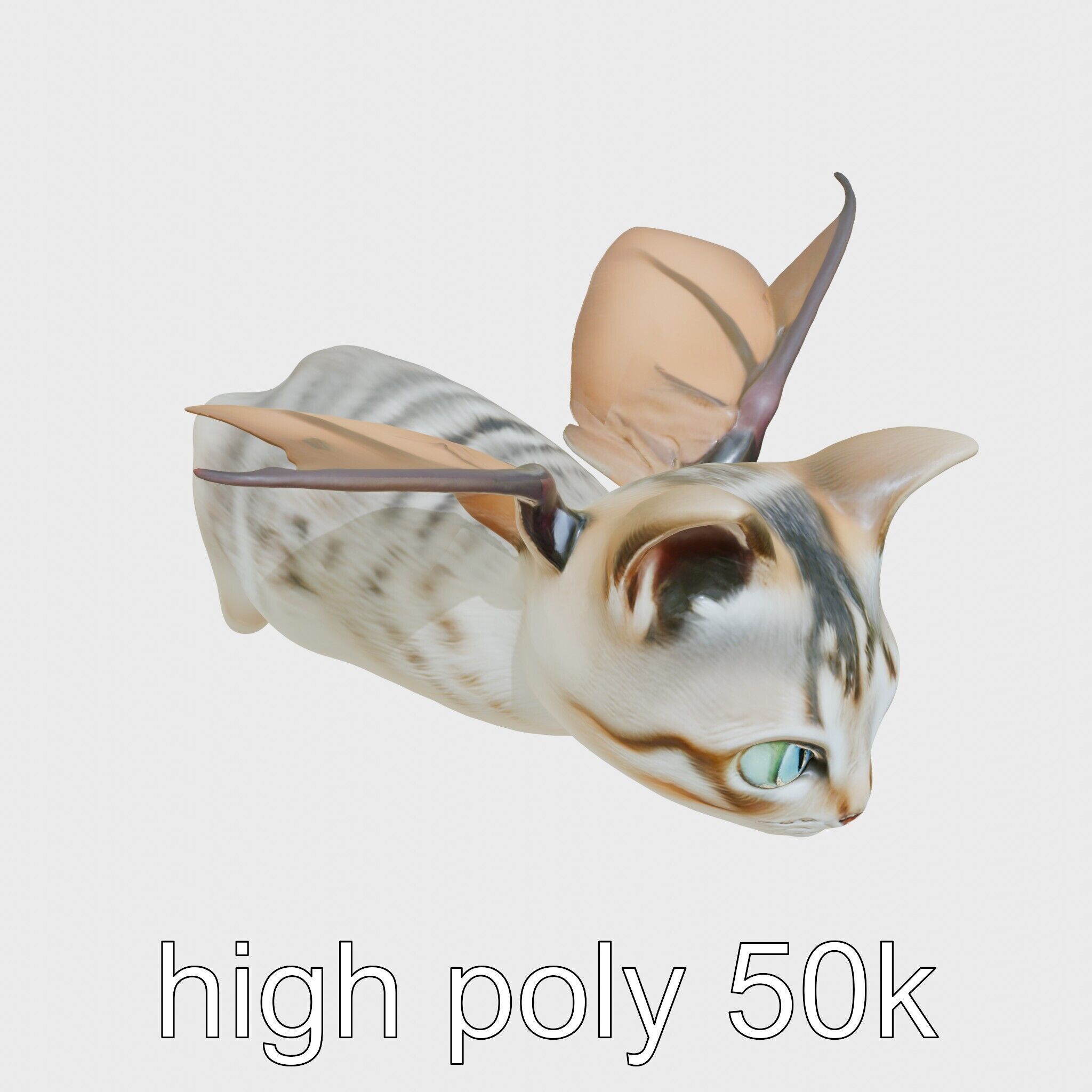 Flying Cat Bat Hybrid Creature model pack Low-poly 3D model_14