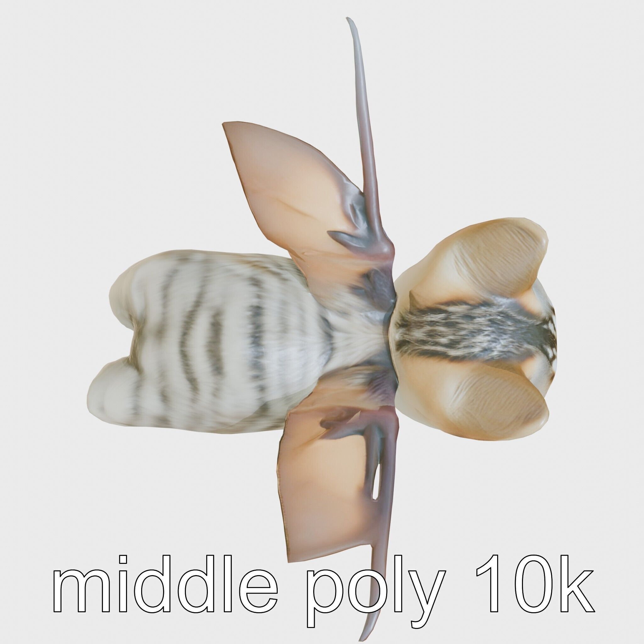 Flying Cat Bat Hybrid Creature model pack Low-poly 3D model_26