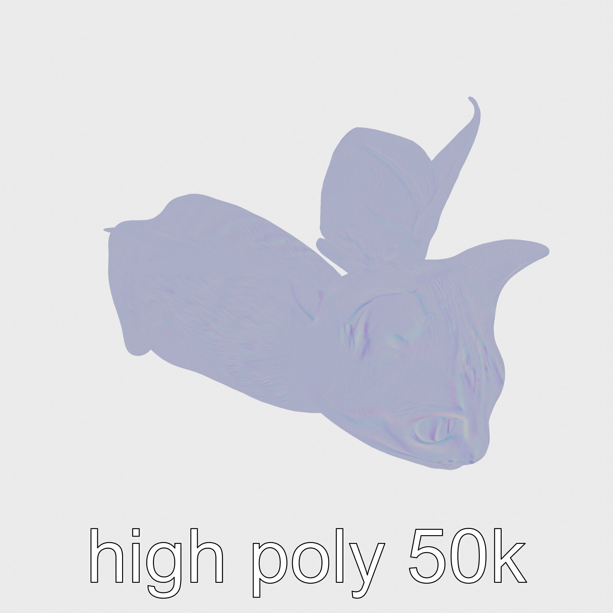 Flying Cat Bat Hybrid Creature model pack Low-poly 3D model_18