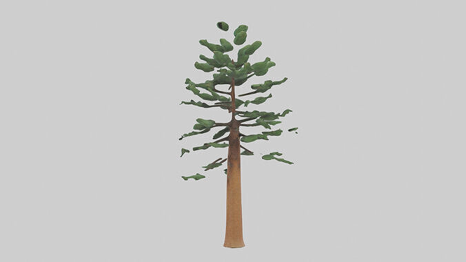 Shortleaf Pine tree model 3D model 2