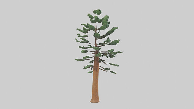 Shortleaf Pine tree model 3D model 3