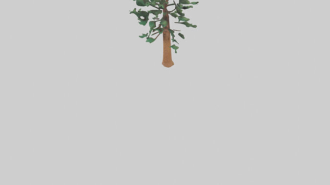 Shortleaf Pine tree model 3D model 6