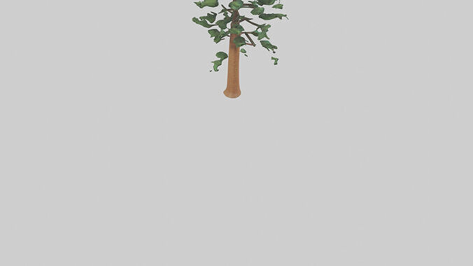 Shortleaf Pine tree model 3D model 5