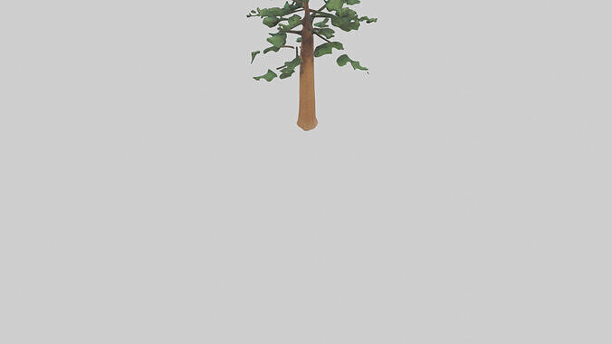 Shortleaf Pine tree model 3D model 4