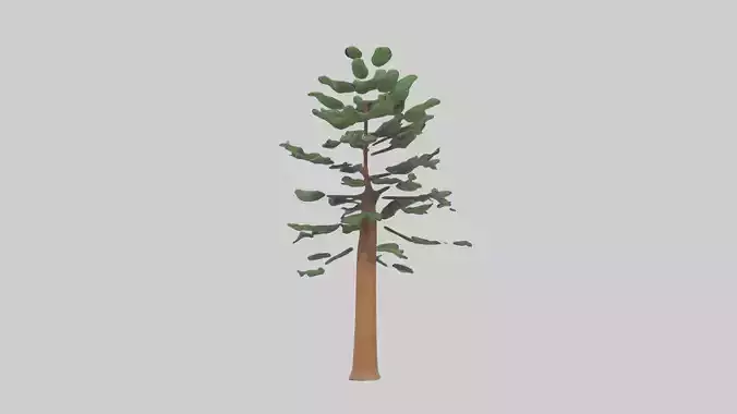 Shortleaf Pine tree model