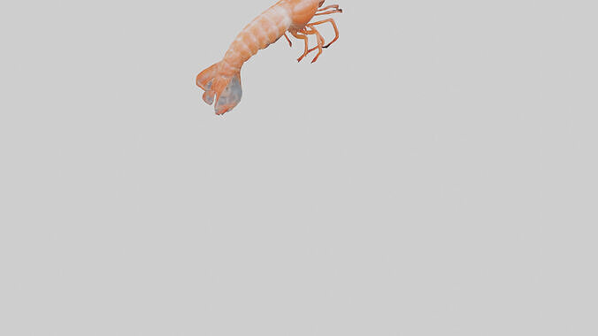 Shrimp darting in water model 3D model 4