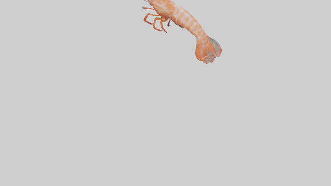 Shrimp darting in water model 3D model 6