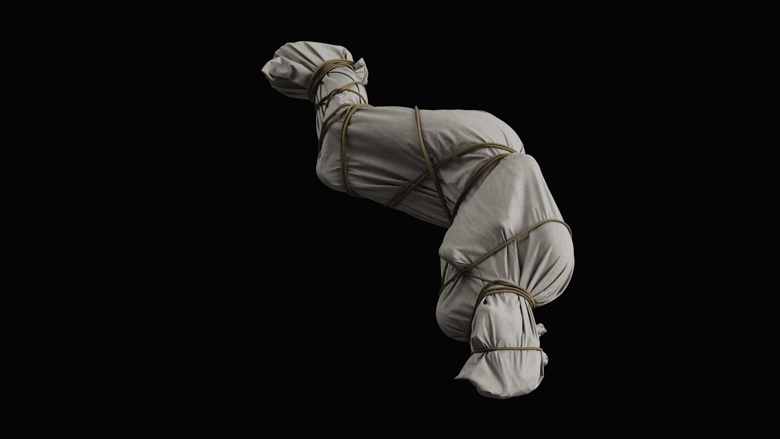 Covered Corpse 11 a 3D model_7