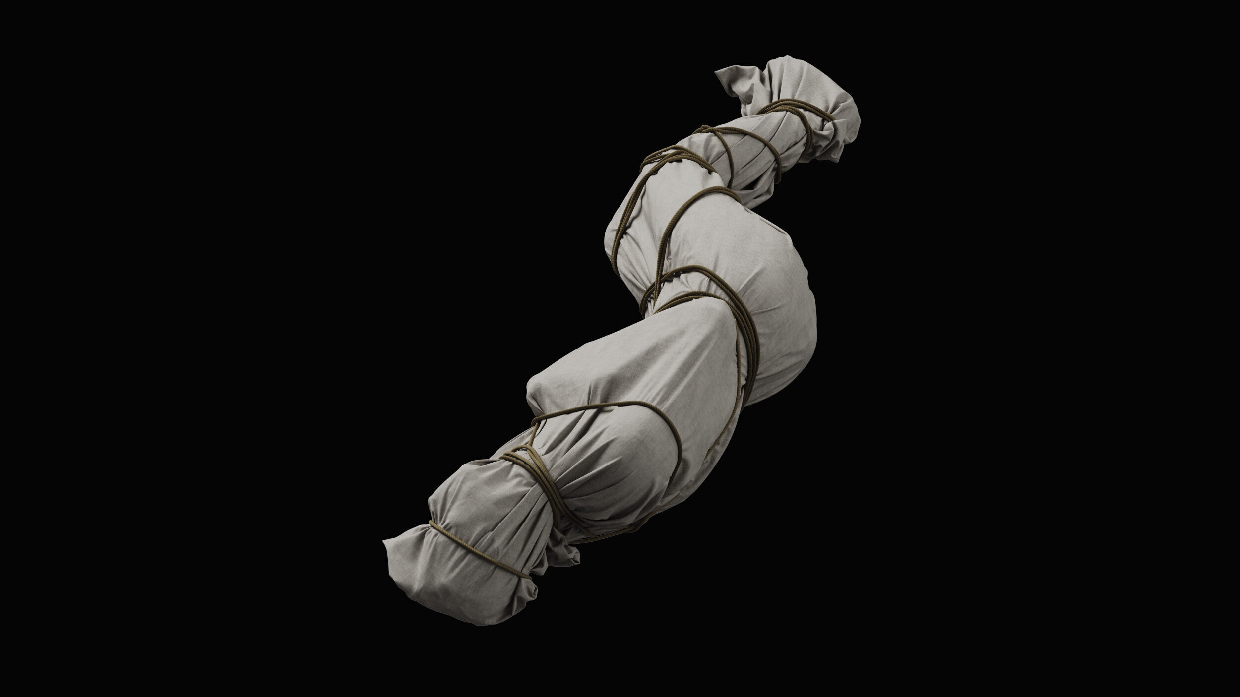 Covered Corpse 11 a 3D model_6