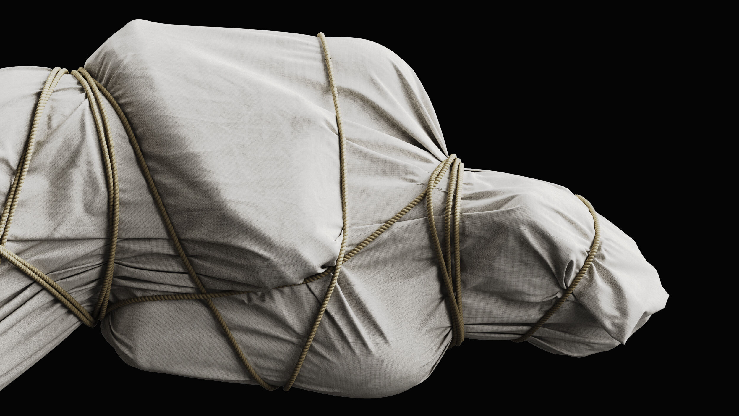 Covered Corpse 11 a 3D model_9