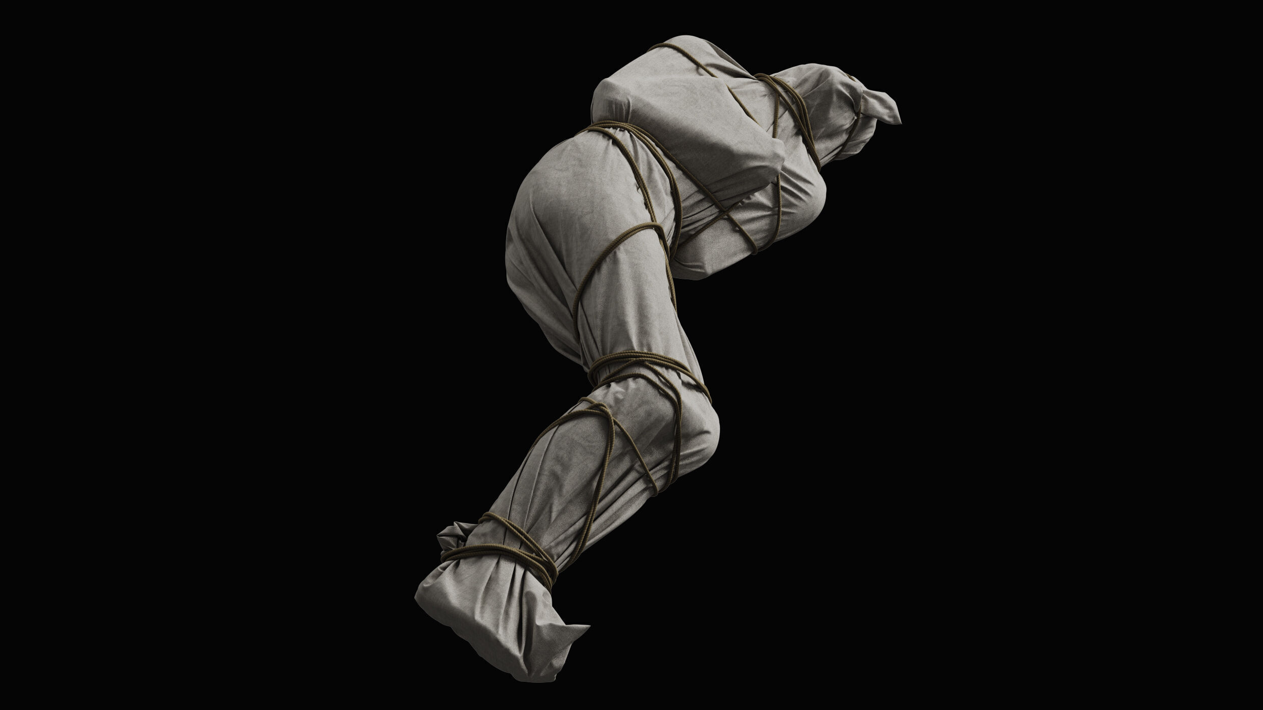 Covered Corpse 11 a 3D model_2