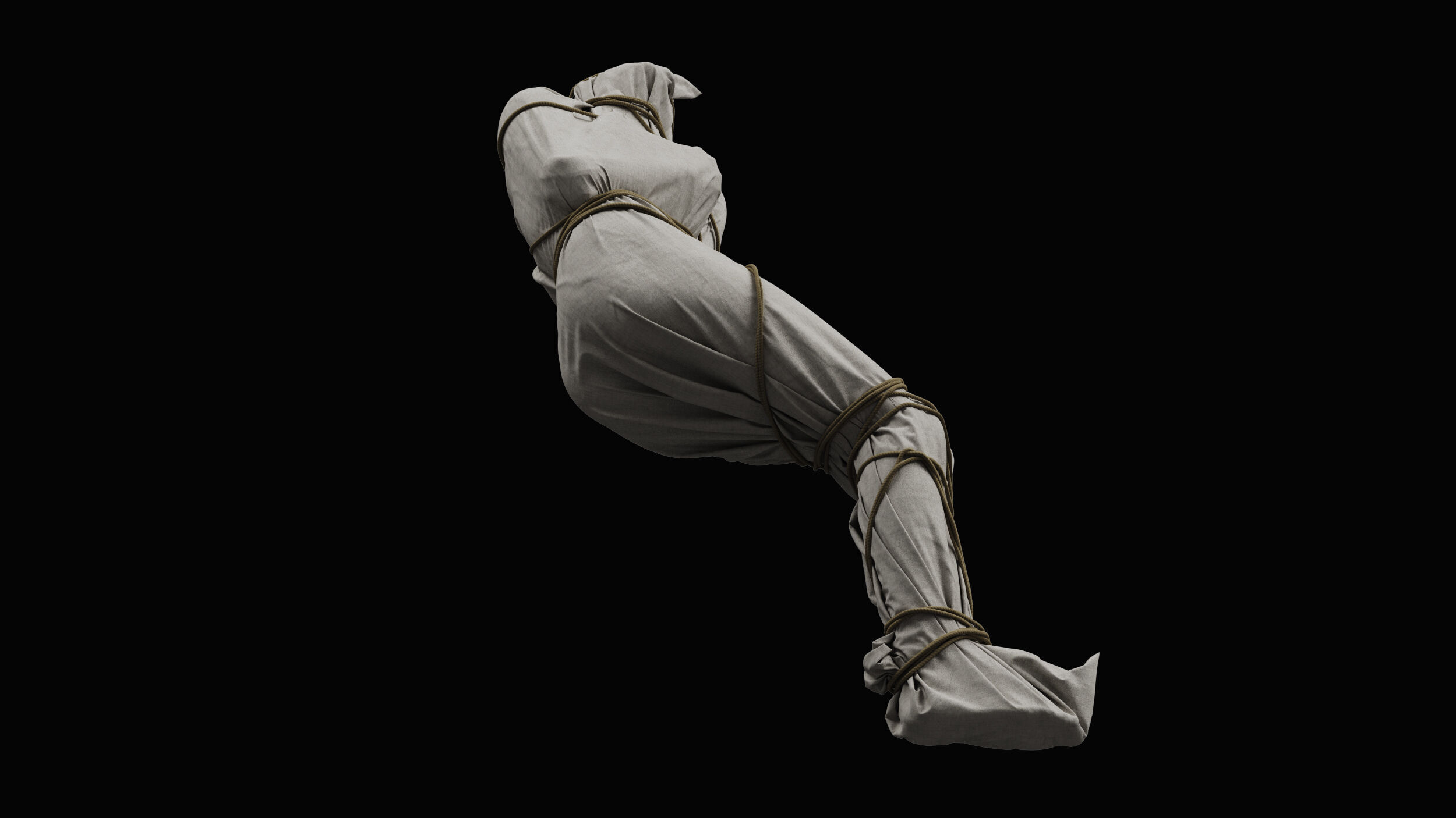 Covered Corpse 11 a 3D model_3