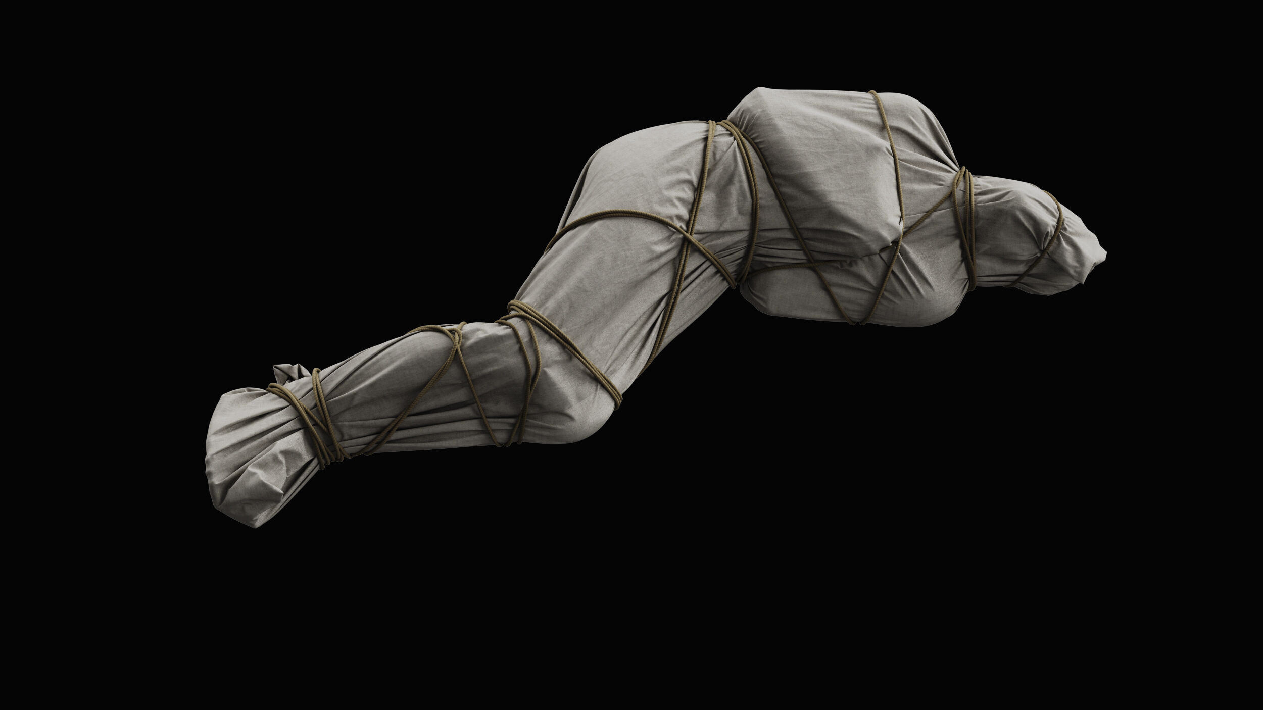 Covered Corpse 11 a 3D model_1