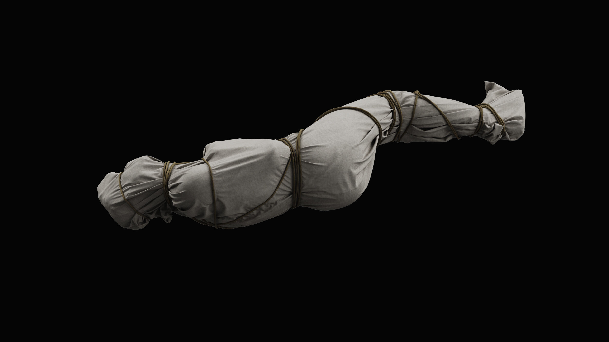 Covered Corpse 11 a 3D model_5