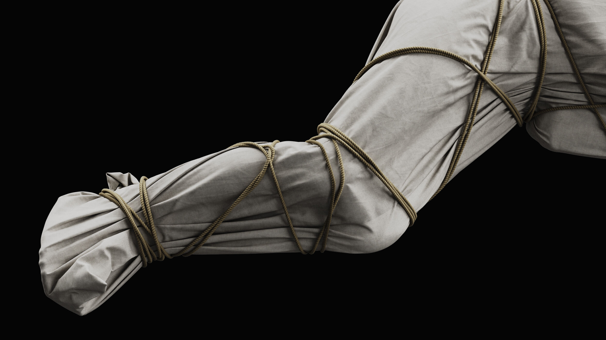 Covered Corpse 11 a 3D model_10