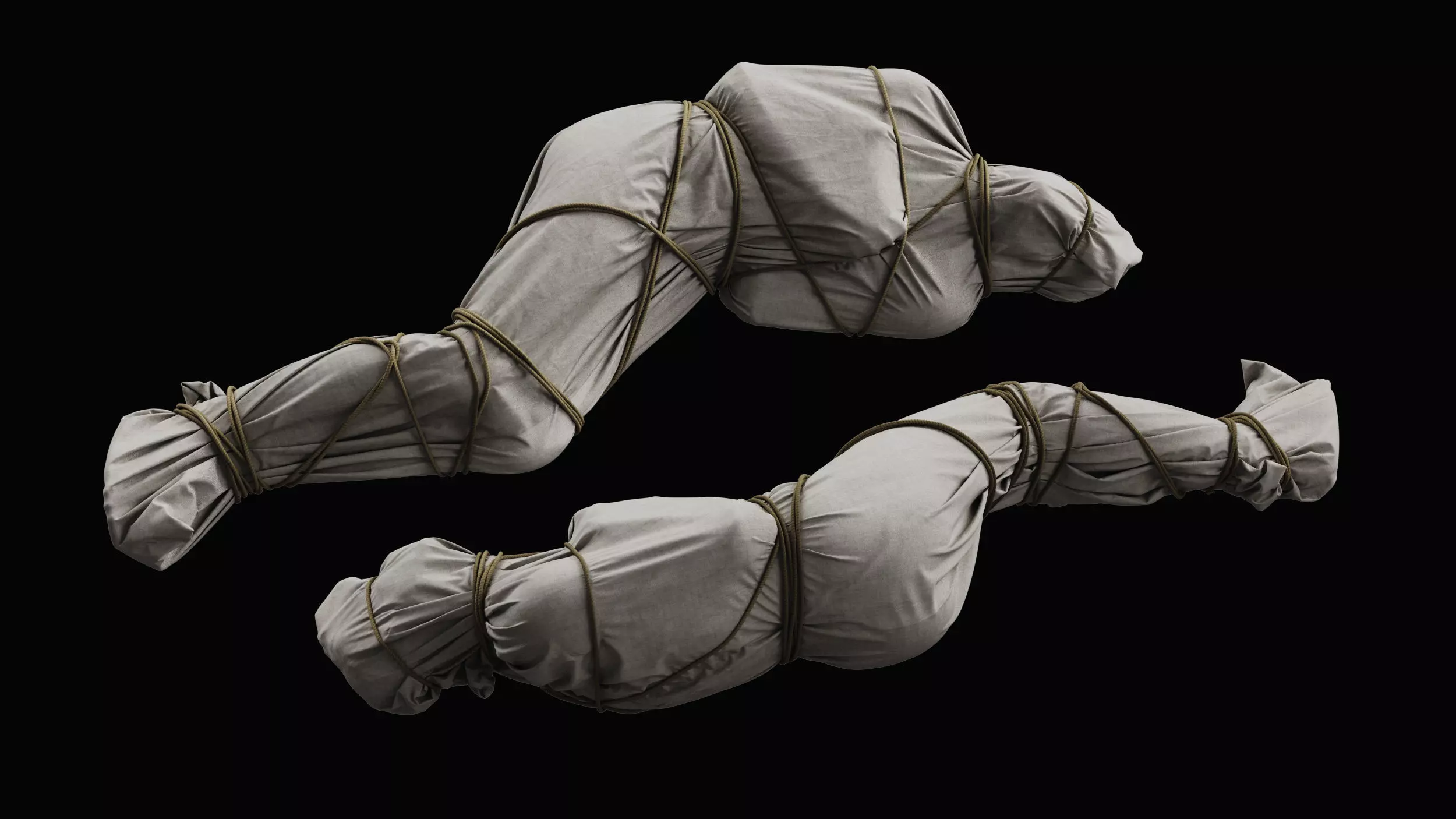 Covered Corpse 11 a 3D model_0