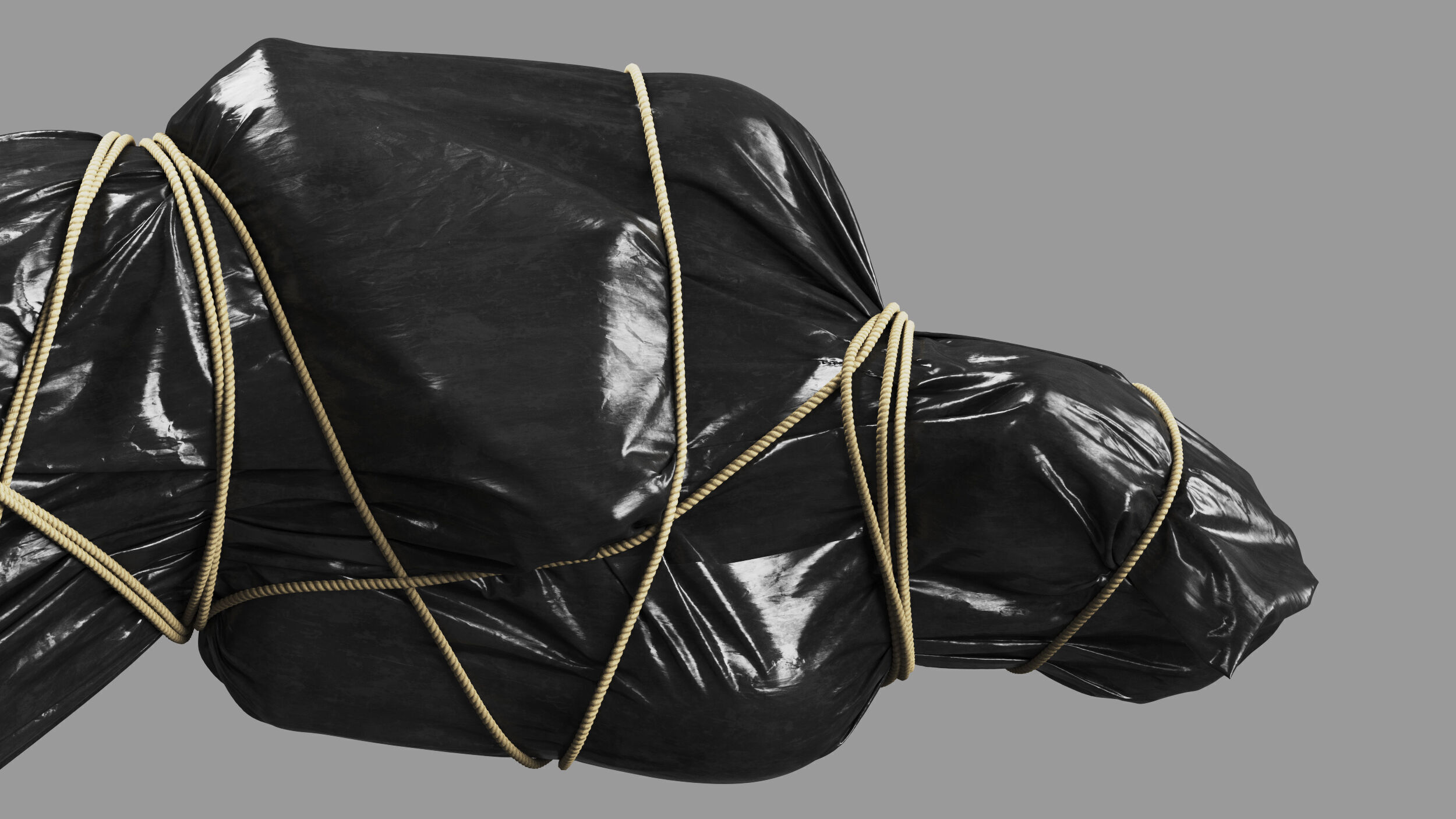 Covered Corpse 11 b 3D model_9